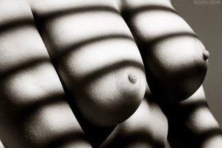 Fotos en blanco y negro muy sexys de Jennifer Avalon, foto 8