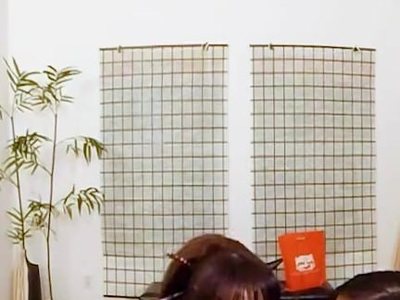 Cindy Starfall, Mia Li y (SELECT nombre FROM www2xno_produccion.xnostars WHERE id=11313)